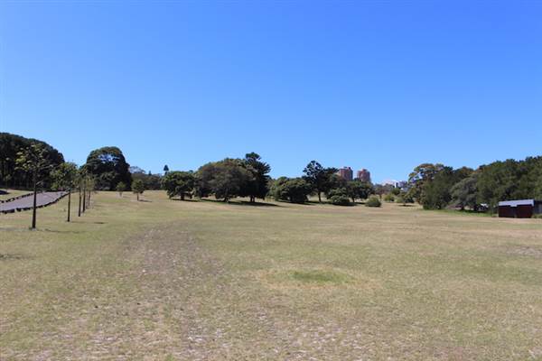 Centennial Park - Loch Ave South (24/10/2014)