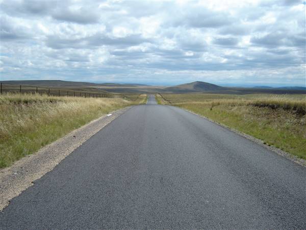 Monaro Plains - Summer (1/02/2005 - Credits: Colin McDougall)