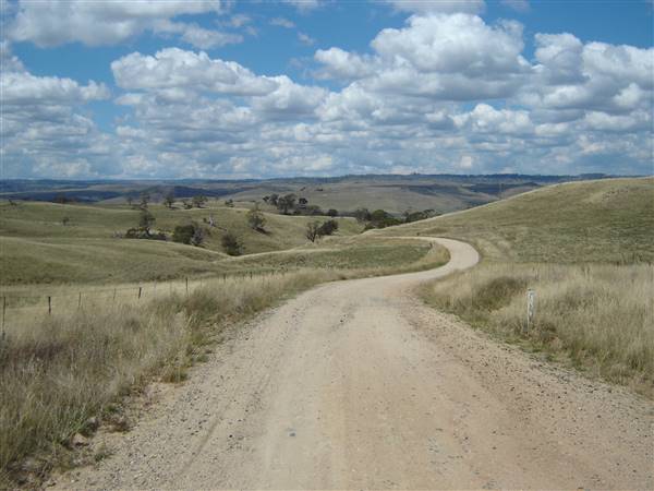 Monaro Plains - Summer (1/02/2005 - Credits: Colin McDougall)