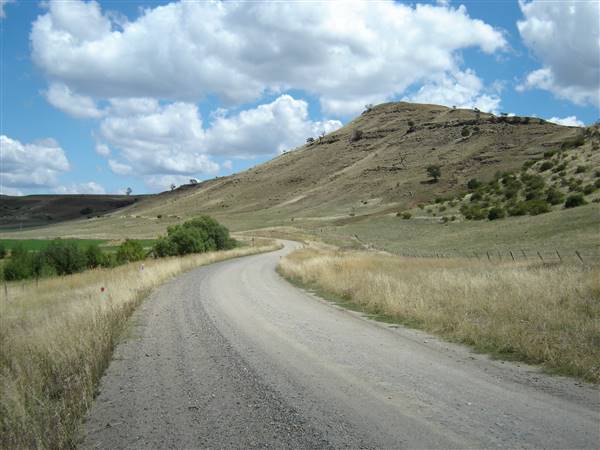 Monaro Plains - Summer (1/02/2005 - Credits: Colin McDougall)