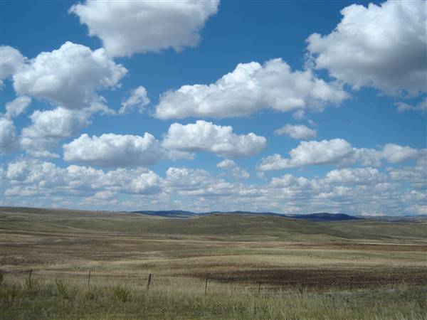 Monaro Plains (1/02/2005 - Credits: Colin McDougall)