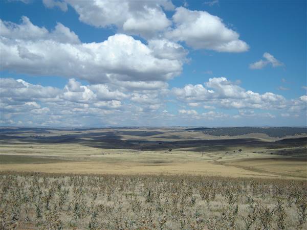 Monaro Plains (1/02/2005 - Credits: Colin McDougall)