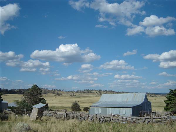 Monaro Plains (1/02/2005 - Credits: Colin McDougall)