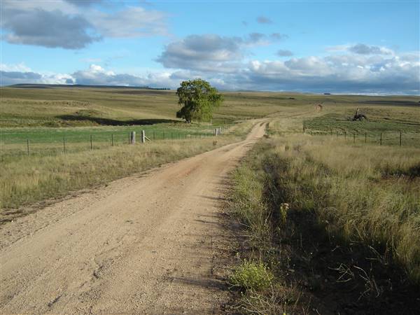 Monaro Plains (1/02/2005 - Credits: Colin McDougall)