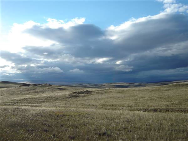 Monaro Plains (1/02/2005 - Credits: Colin McDougall)