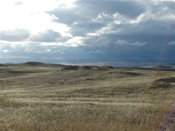 Monaro Plains (1/02/2005 - Credits: Colin McDougall)