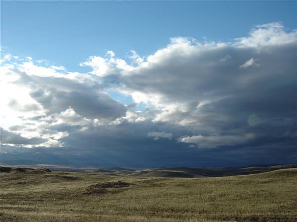 Monaro Plains (1/02/2005 - Credits: Colin McDougall)