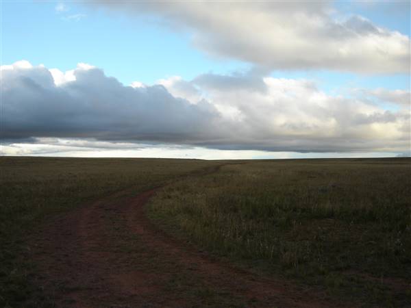 Monaro Plains (1/02/2014 - Credits: Colin McDougall)