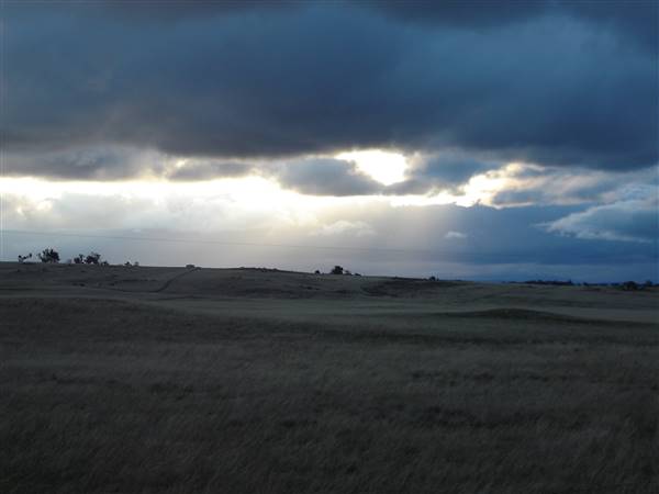 Monaro Plains (1/02/2014 - Credits: Colin McDougall)