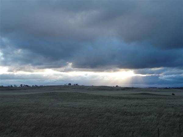 Monaro Plains (1/02/2014 - Credits: Colin McDougall)