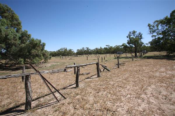 Bindara Station on the Darling - Period Homestead & Outbuildings (20/11/2015)