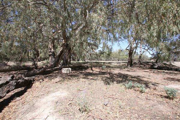 Bindara Station on the Darling - Period Homestead & Outbuildings (20/11/2015)
