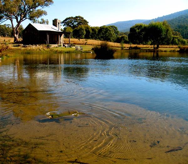 Moonbah Hut (20/11/2015)