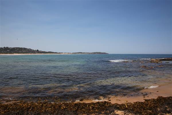 Dee Why Beach and Surrounds (20/11/2015 - Credits: Lisa Scope)