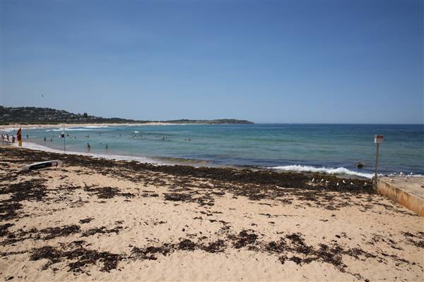 Dee Why Beach and Surrounds (20/11/2015 - Credits: Lisa Scope)