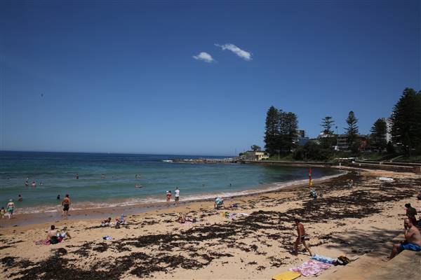 Dee Why Beach and Surrounds (20/11/2015 - Credits: Lisa Scope)