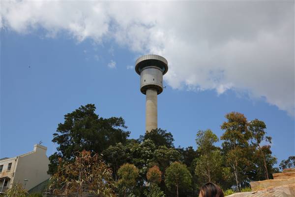 Barangaroo Reserve (25/11/2015)