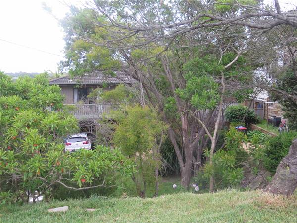 Manly Vale Neighbourhood (8/12/2015 - Credits: Peter Hicks)