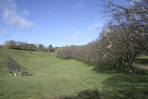 Private House - Crookwell (5/02/2016)
