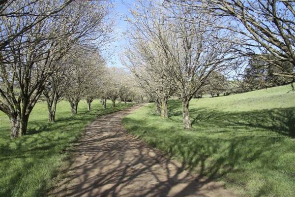 Private House - Crookwell (5/02/2016)