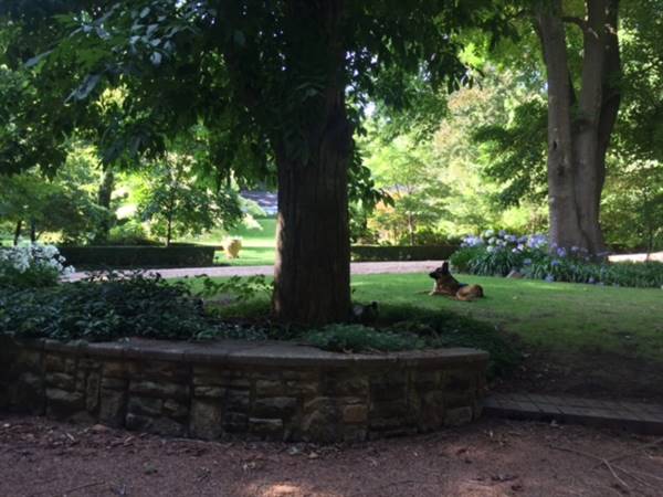 The Ridge at Bowral (18/12/2015)