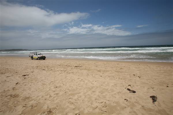 Cronulla Beach North End (Greenhills) (15/03/2016)
