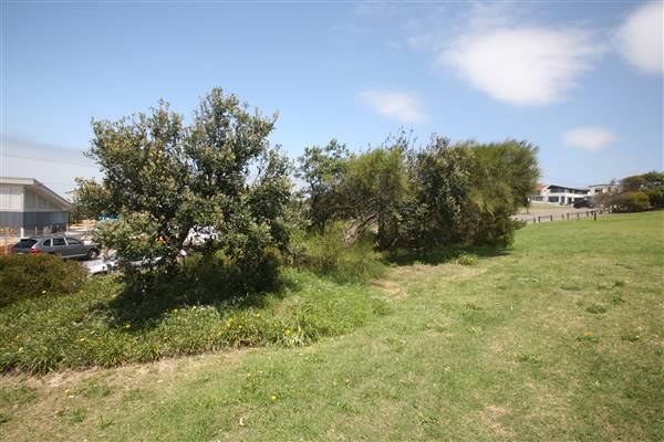 Cronulla Beach North End (Greenhills) (15/03/2016)