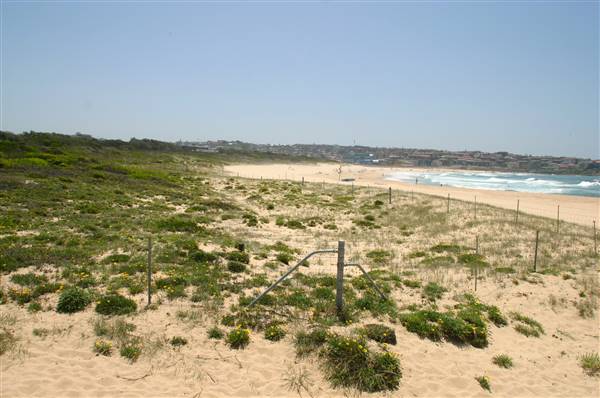 South Maroubra Beach (2/02/2006 - Credits: Lisa Scope)