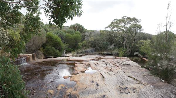 Wattamolla Beach (1/07/2016 - Credits: Mary Barltrop)
