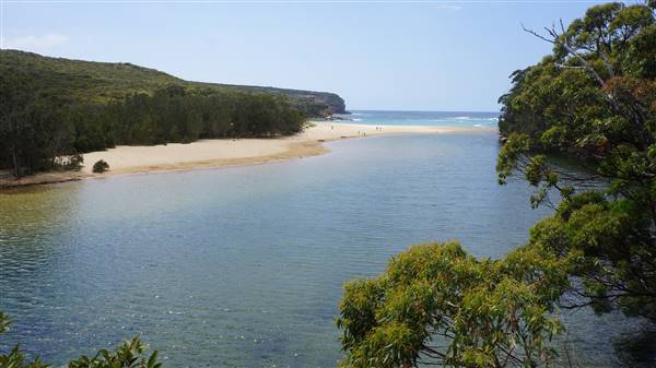 Wattamolla Beach (1/07/2016 - Credits: Mary Barltrop)