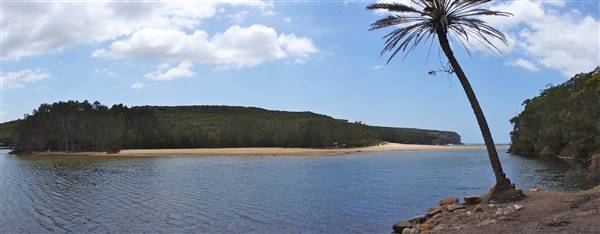 Wattamolla Beach (1/07/2016 - Credits: Mary Barltrop)