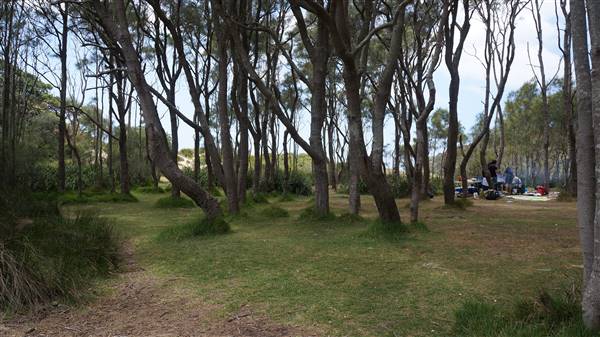 Wattamolla Beach (1/07/2016 - Credits: Mary Barltrop)