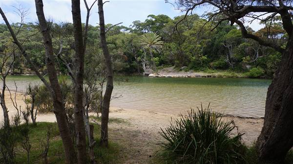 Wattamolla Beach (1/07/2016 - Credits: Mary Barltrop)