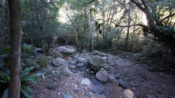 Minnamurra Rainforest Walk - Budderoo National Park (2/07/2016 - Credits: Mary Barltrop)