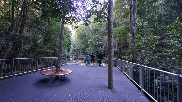 Minnamurra Rainforest Walk - Budderoo National Park (2/07/2016 - Credits: Mary Barltrop)