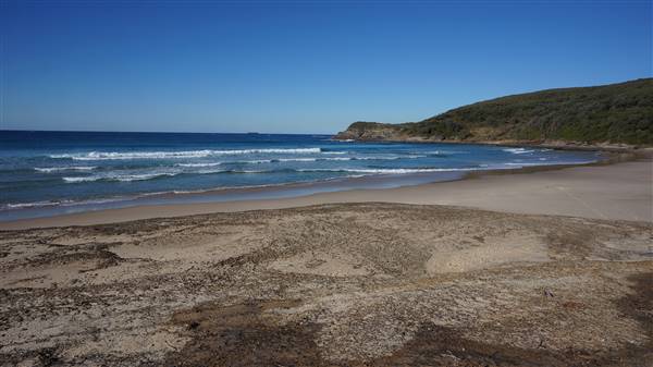 Frazer Beach Campground - Munmorah State Conservation Area (4/07/2016 - Credits: Mary Barltrop)