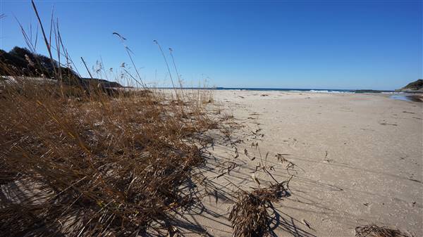 Frazer Beach Campground - Munmorah State Conservation Area (4/07/2016 - Credits: Mary Barltrop)