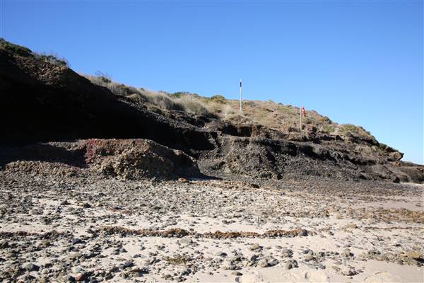 Munmorah State Conservation Area - Snapper Pt and Bongon Beach (4/07/2016)