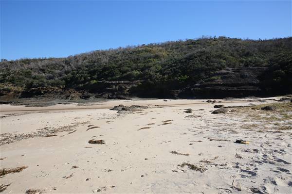 Munmorah State Conservation Area - Snapper Pt and Bongon Beach (4/07/2016)
