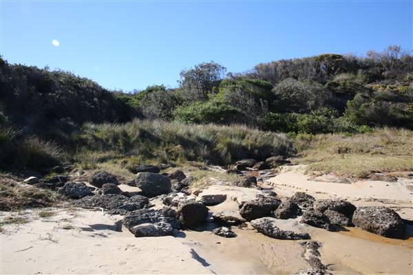 Munmorah State Conservation Area - Snapper Pt and Bongon Beach (4/07/2016)