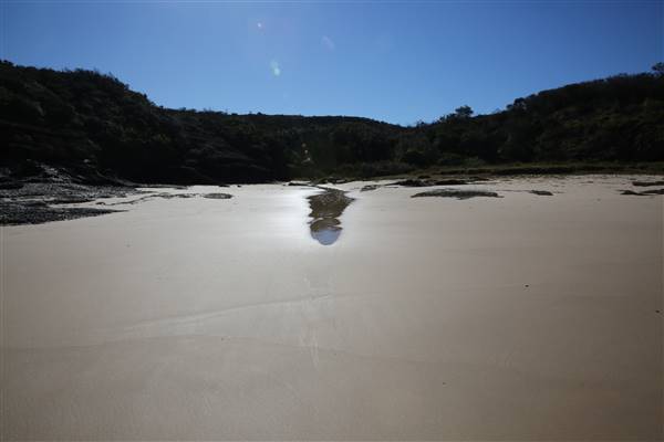 Munmorah State Conservation Area - Snapper Pt and Bongon Beach (4/07/2016)