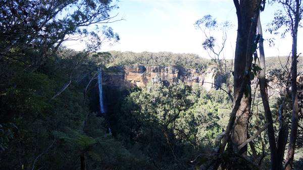 Fitzroy Falls & Twin Falls - Morton National Park (4/07/2016 - Credits: Mary Barltrop)