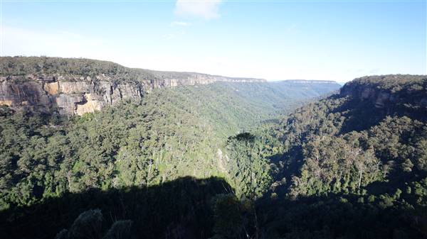 Fitzroy Falls & Twin Falls - Morton National Park (4/07/2016 - Credits: Mary Barltrop)