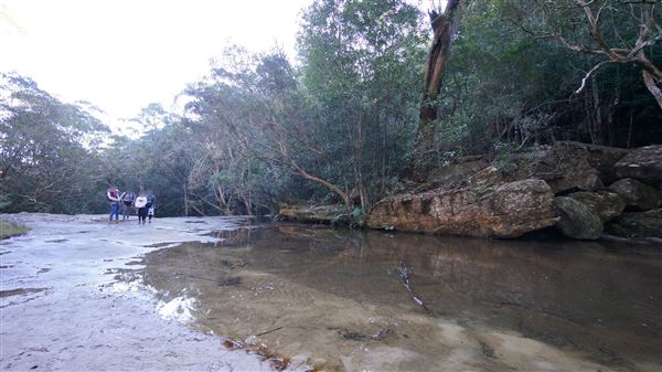 Somersby Falls picnic area - Brisbane Water National Park (4/07/2016 - Credits: Mary Barltrop)
