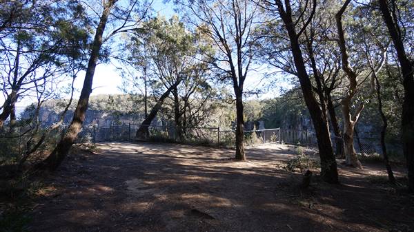 Fitzroy Falls & Twin Falls - Morton National Park (4/07/2016 - Credits: Mary Barltrop)
