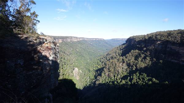 Fitzroy Falls & Twin Falls - Morton National Park (4/07/2016 - Credits: Mary Barltrop)