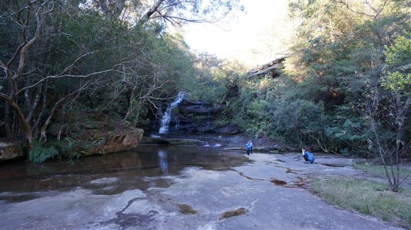 Somersby Falls picnic area - Brisbane Water National Park (4/07/2016 - Credits: Mary Barltrop)