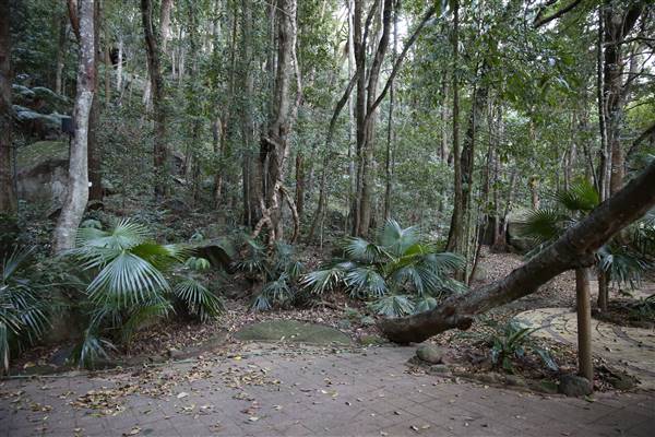 Mount Keira Scout Camp File 1 (5/07/2016)