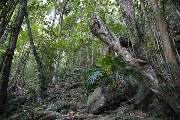 Mount Keira Scout Camp File 1 (5/07/2016)