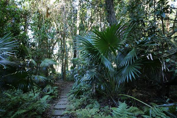 Mount Keira Scout Camp File 1 (5/07/2016)